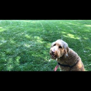 Meet your Posher, Rita